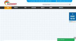 Desktop Screenshot of blossomypromotion.com